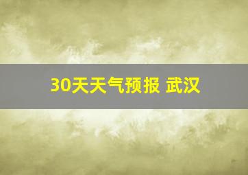 30天天气预报 武汉